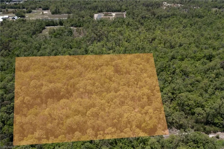Expansive wooded parcel featuring mature trees and lush natural foliage