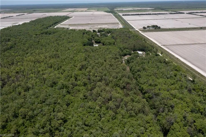 Expansive wooded land bordered by cleared agricultural fields and unpaved roadways