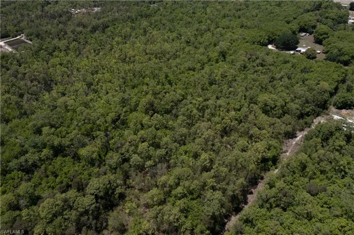 Expansive wooded acreage featuring dense tree cover and natural surroundings