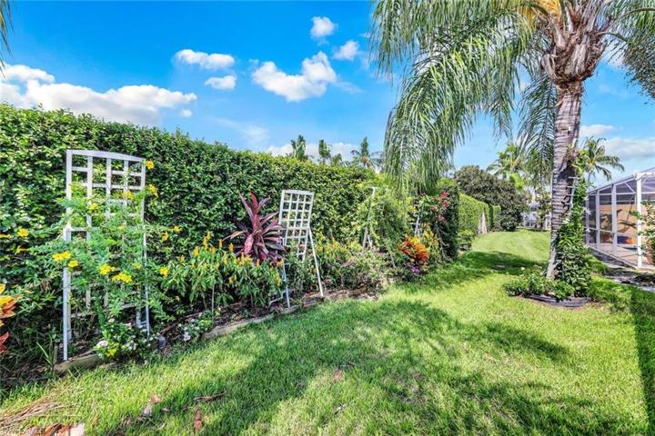 Verdant back yard.