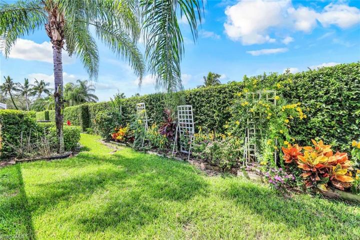 Verdant back yard.