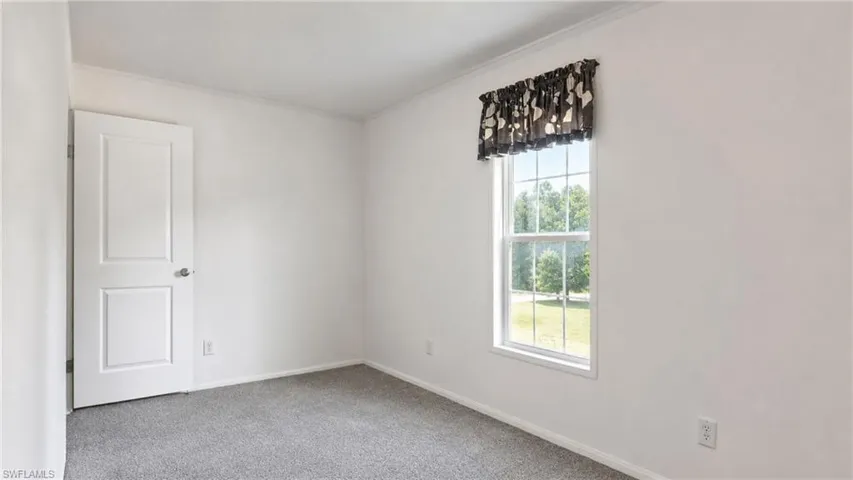 Bright interior space featuring a double-paned window, neutral wall paint, gray carpet flooring, and white trim