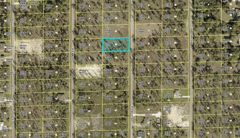 1315 Sheldon Ave, Lehigh Acres, Florida 33972