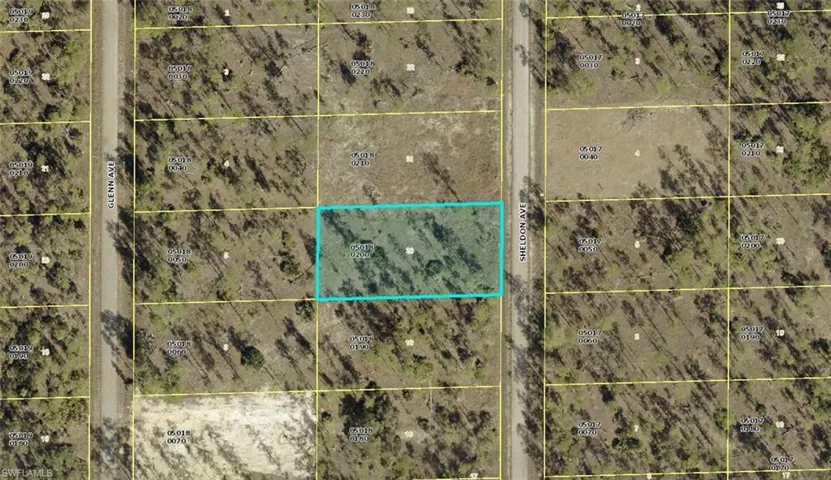 1315 Sheldon Ave, Lehigh Acres, Florida 33972