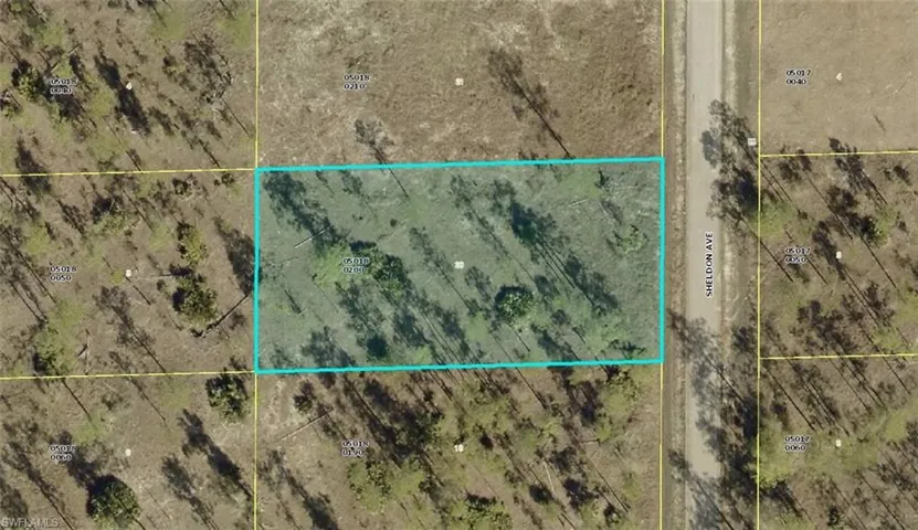 1315 Sheldon Ave, Lehigh Acres, Florida 33972