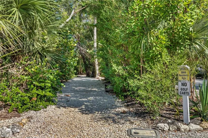 Follow the shaded path beneath native trees — your walk to the beach begins here!