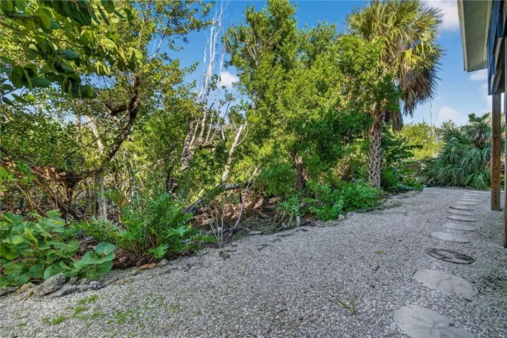 Lush and tropical path around the home.