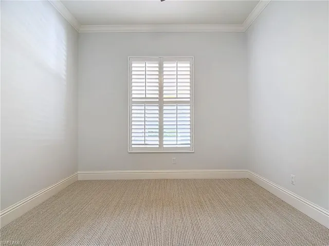 Empty room with light carpet, crown molding, and a healthy amount of sunlight