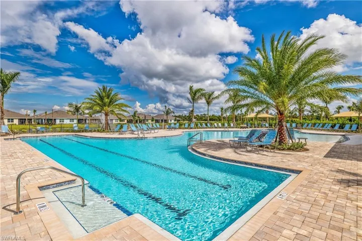Resort-style swimming pool featuring a paver deck, multiple swimming lanes, a sun shelf, and integrated palm trees