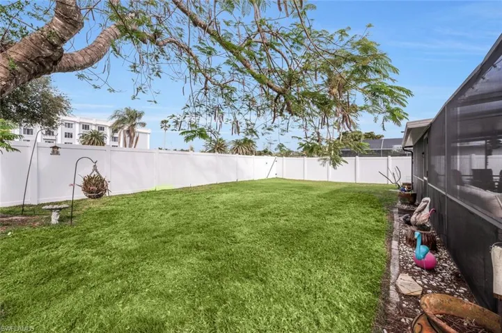 Backyard -- View 4