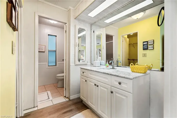 Full bathroom with vanity, ornamental molding, light wood-style flooring, and a walk in closet