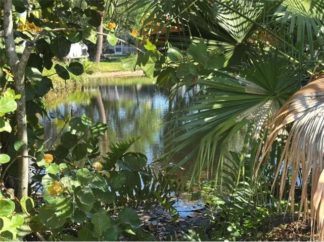 688 Valley Dr, Bonita Springs, Florida 34134