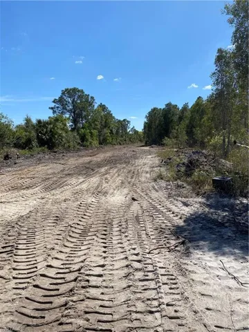 View of road