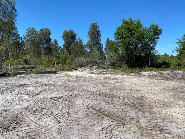View of nature