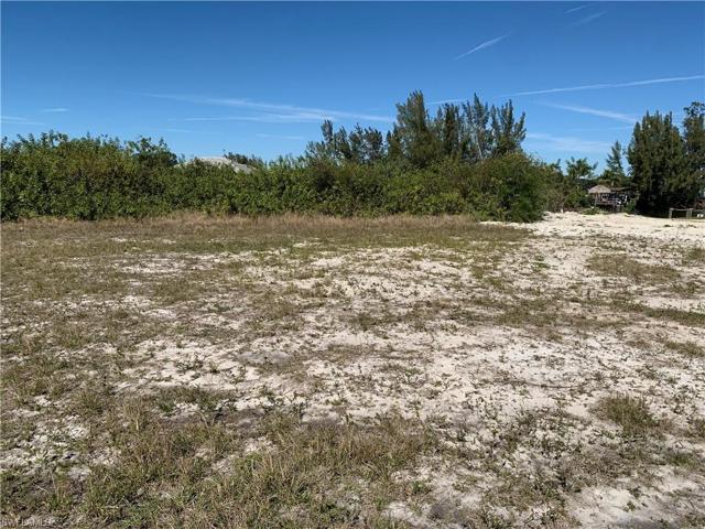 from front of lot