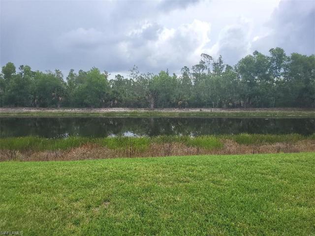 Lake View From Rear