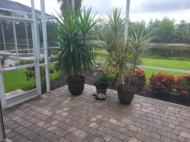 From Extended Lanai