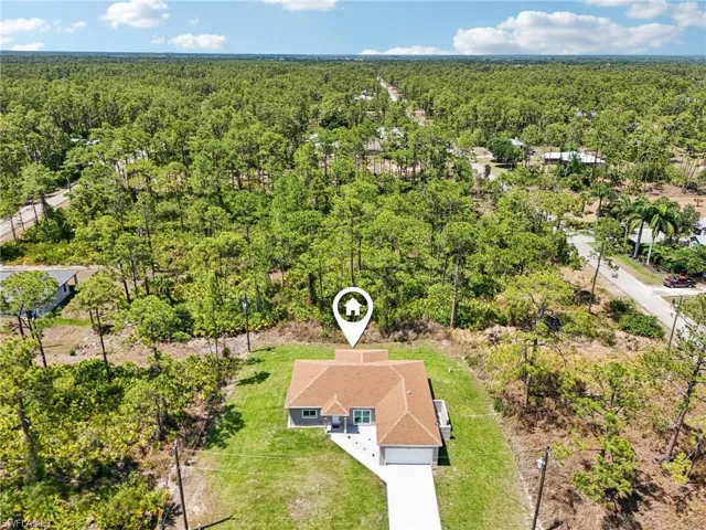 Drone / aerial view of a forest