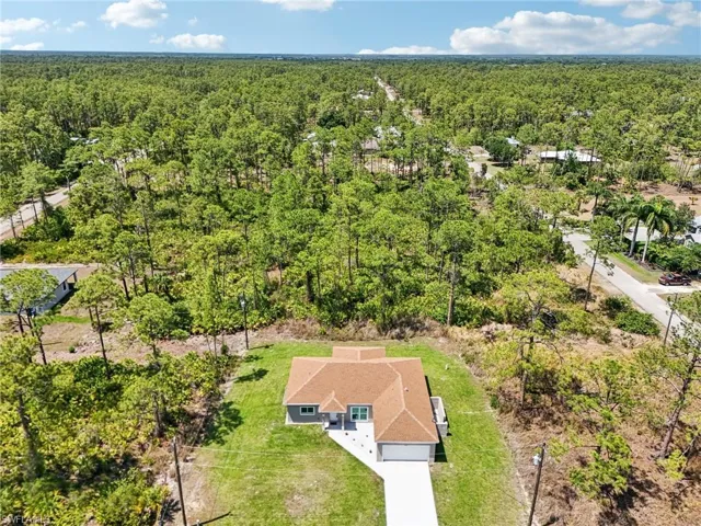 Drone / aerial view of a forest