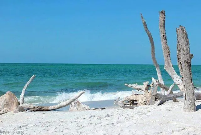 World famous white sand beaches and shelling