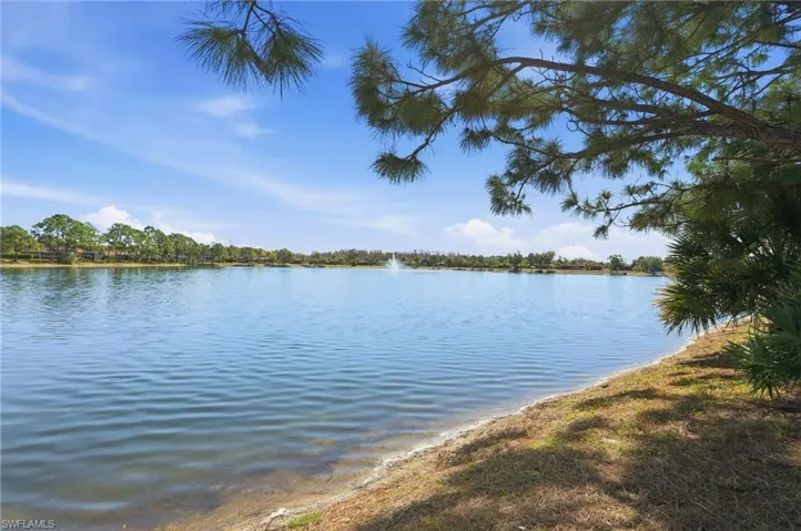 Water view