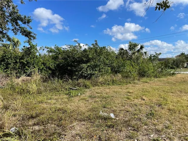2309 NE 6th  ST, Cape Coral, FL 33909