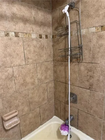 Interior details with tiled shower / bath