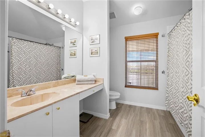 Bathroom with wood-type flooring, vanity, and toilet