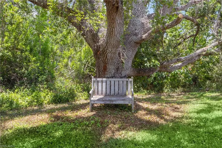 A charming bench nestled beneath a majestic mature tree offers the perfect shaded spot to relax and unwind.