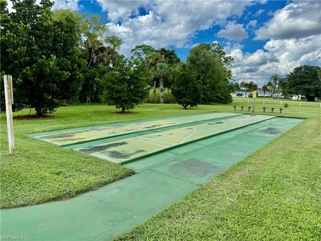 Shuffleboard