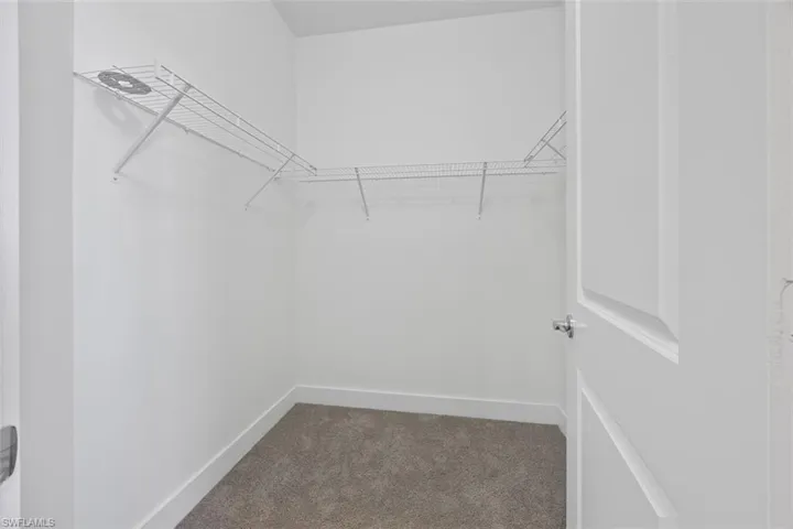 Spacious closet featuring carpet