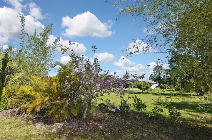 Beautiful and fragrant flowering trees in the backyard...