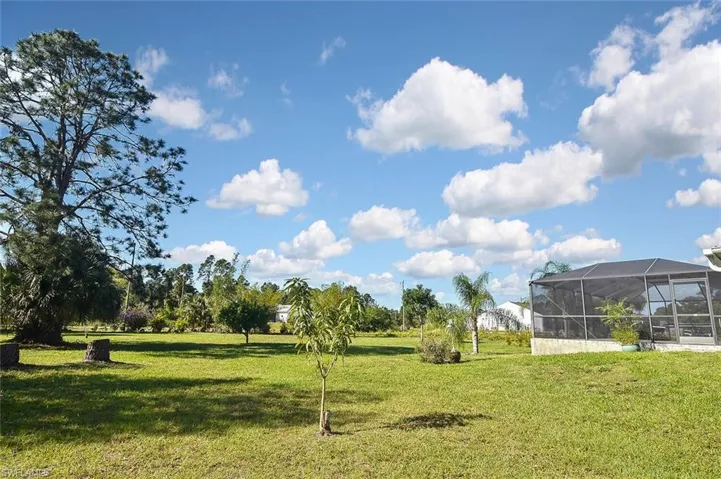 ...avocados, and plenty of space to build a garden!