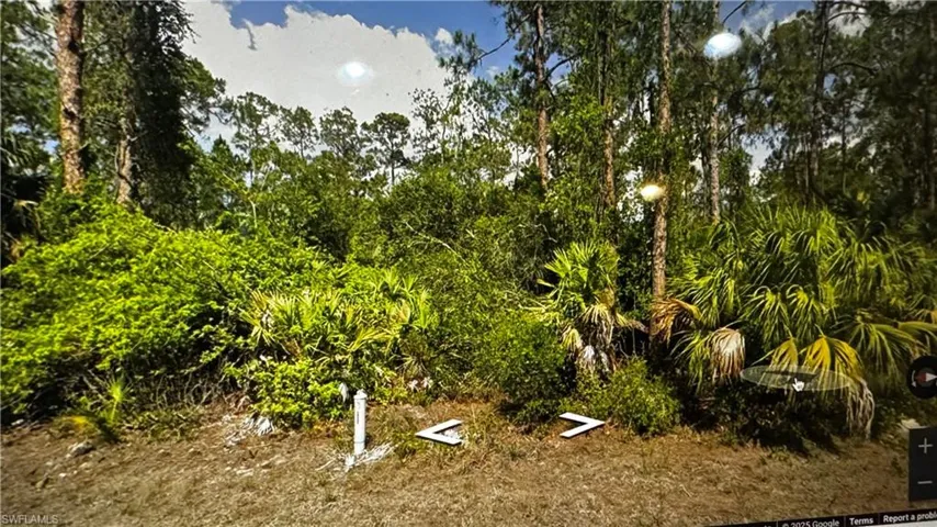 View of local wilderness