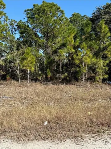 View of local wilderness