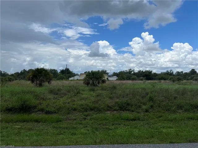 View of local wilderness