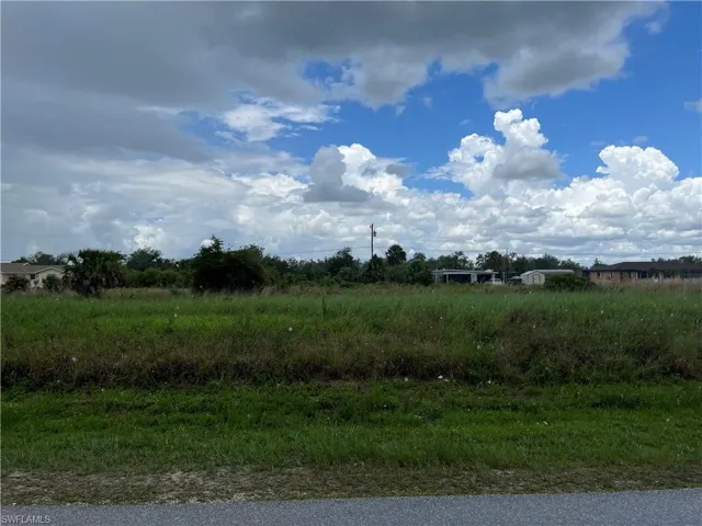 View of local wilderness