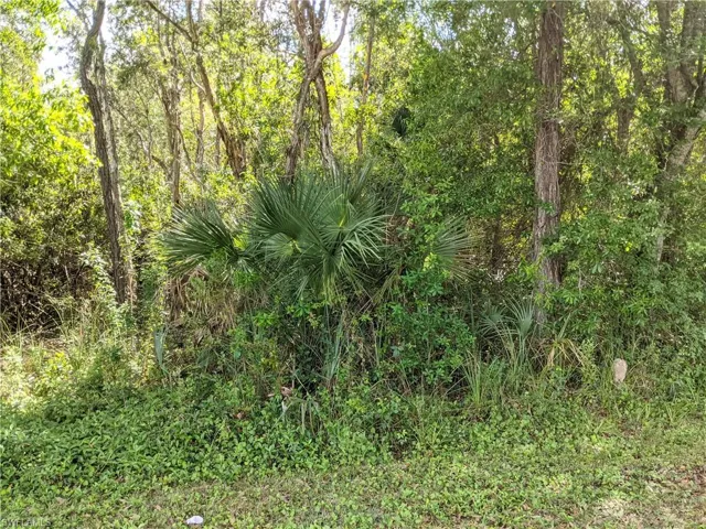 XXX  NO ROAD ACCESS  , Naples, FL 34113