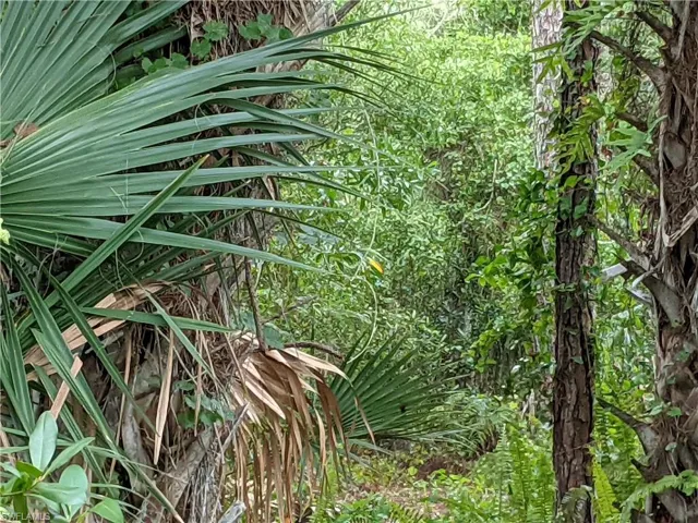 XXX  NO ROAD ACCESS  , Naples, FL 34113