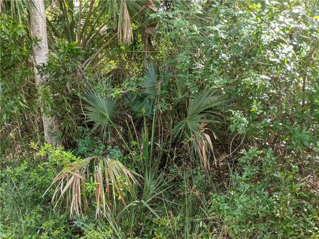 XXX  NO ROAD ACCESS  , Naples, FL 34113