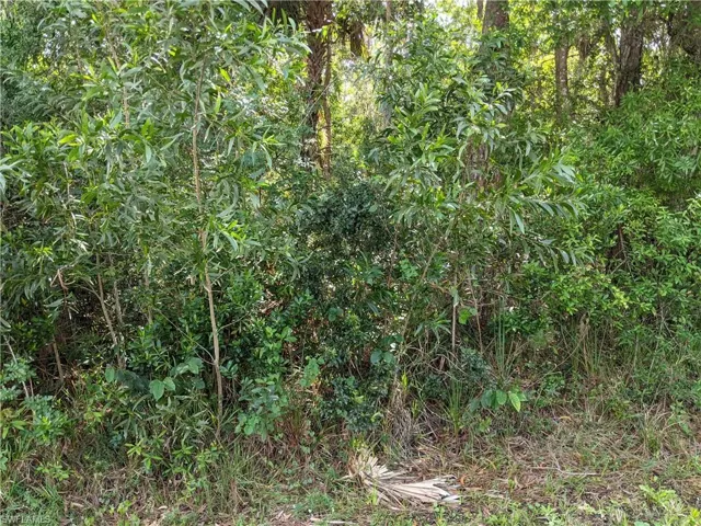 XXX  NO ROAD ACCESS  , Naples, FL 34113