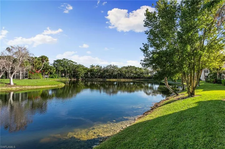 Water view