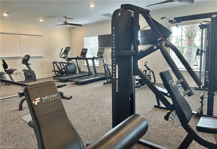 Workout area with ceiling fan, ornamental molding, and a wealth of natural light
