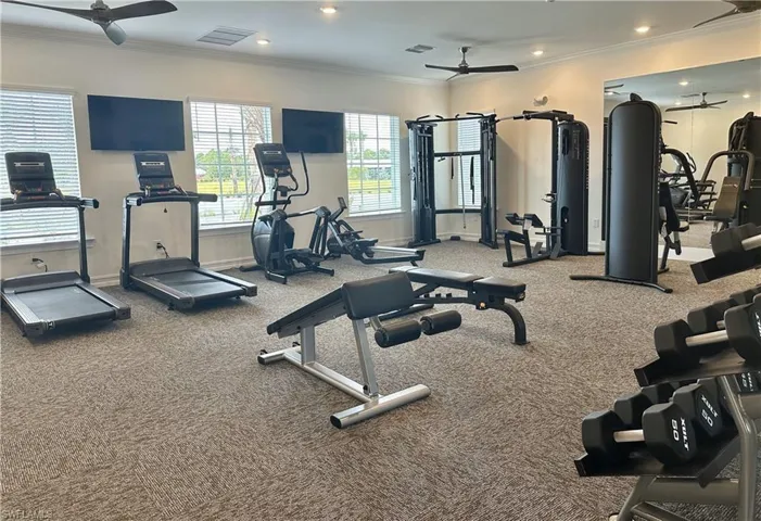 Workout area featuring ceiling fan, carpet floors, and ornamental molding