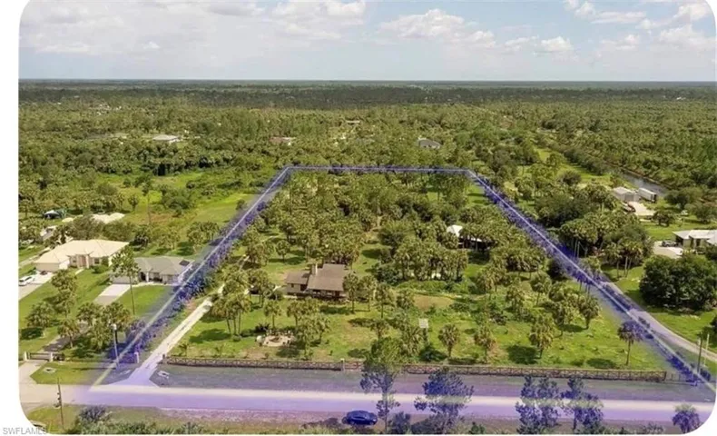 Bird's eye view of a forest