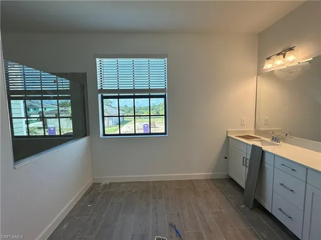 Bathroom featuring wood-type flooring and vanity