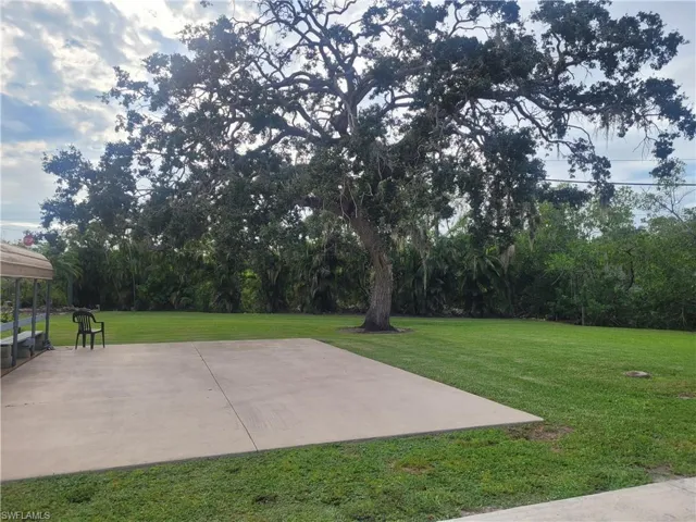 View of green lawn