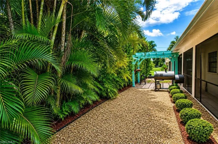 AI backyard landscape suggestion. Gravel pathway bordered by mature palm trees and low-lying shrubs