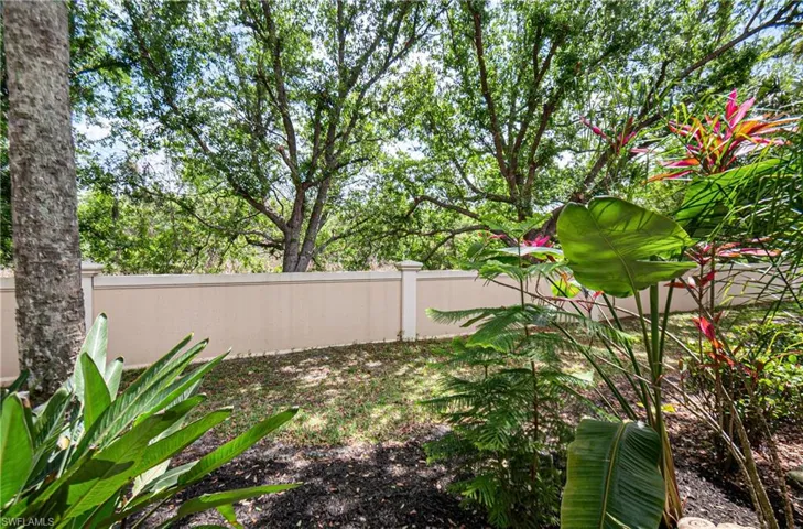 Lush Landscaping looking out onto lots of natural Florida landscape.