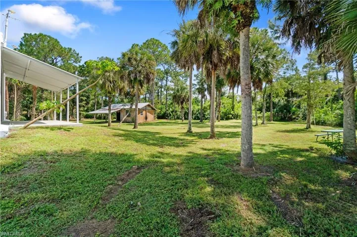 Back yard